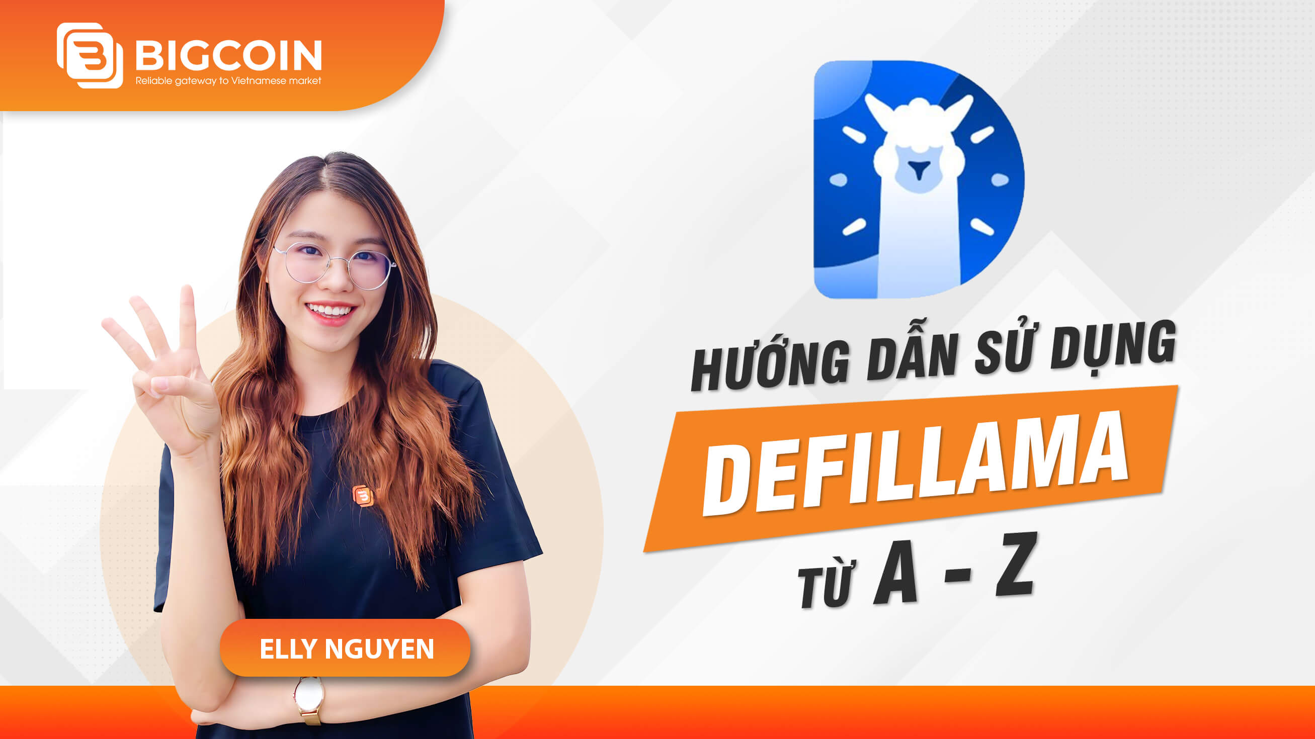 DefiLlama Là Gì? Hướng Dẫn Sử Dụng DefiLlama Dành Cho Người Mới